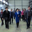Chairman of Provincial Women’s Federation has an inspection in Hishan Chairman of Provincial Women’s Federation has an inspection in Hishan